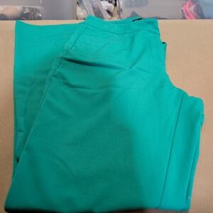 New York & Company Aqua Pants